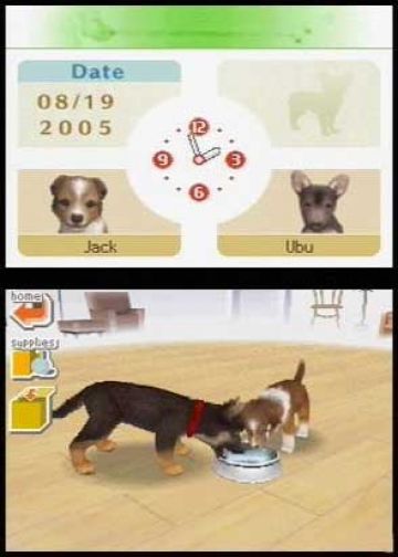 Immagine -11 del gioco Nintendogs: Labrador and Friends per Nintendo DS